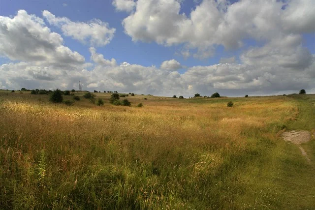Berry Hill fields looking south west. Berry Hill fields looking south west.