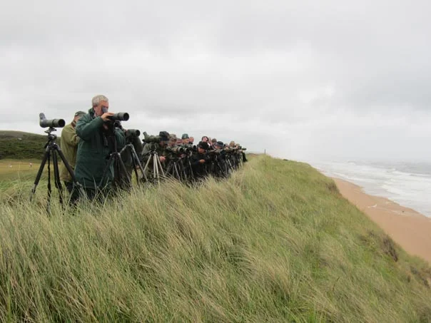 The first morning of the American White-winged Scoter twitch. The first morning of the American White-winged Scoter twitch.