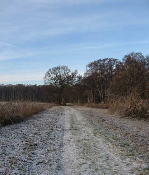 The southern border to the reserve. The southern border to the reserve.