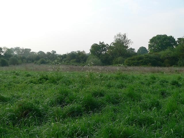 Southern end Southern end