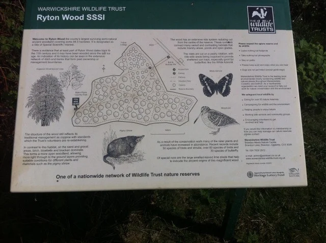Ryton Woods adjoins Ryton Pools CP. A bluebell wood. Ryton Woods adjoins Ryton Pools CP. A bluebell wood.