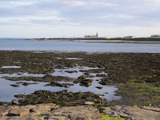 View south from Beacon Point to Church Point at low tide. View south from Beacon Point to Church Point at low tide.