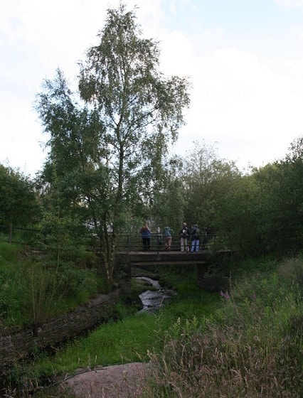 Bonelli's Warbler twitch. Bonelli's Warbler twitch.
