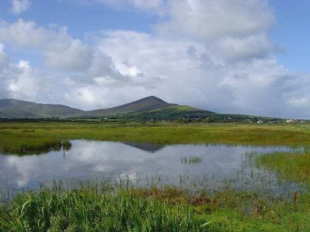 The pool at Baile an Reannaigh, Smerwick Harbour. Once a wader Mecca, but sadly now rather overgrown. The pool at Baile an Reannaigh, Smerwick Harbour. Once a wader Mecca, but sadly now rather overgrown.