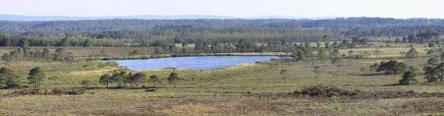 The old decoy pond with Wareham forest and the Purbeck hills in the background. The old decoy pond with Wareham forest and the Purbeck hills in the background.