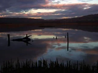 Image supplied by Sue Tranter Image supplied by Sue Tranter