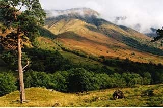 Glen Nevis looking up at "The Ben" Glen Nevis looking up at "The Ben"