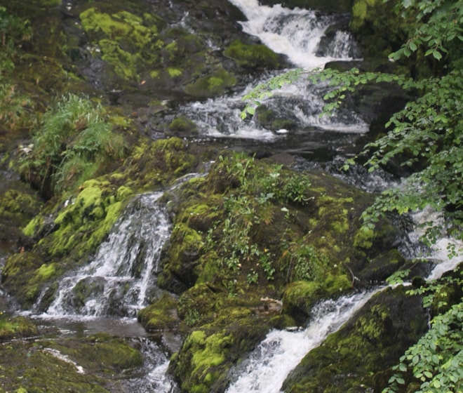 Clapham Falls. Above the falls is Ingleborough Estate nature trail (small toll). The falls are at the head of the village and Clapham Beck flows on through its centre. Clapham Falls. Above the falls is Ingleborough Estate nature trail (small toll). The falls are at the head of the village and Clapham Beck flows on through its centre.