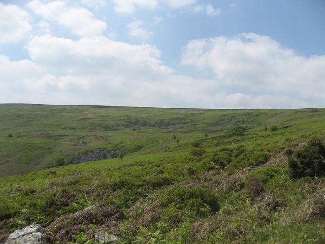 The Marmora's Warbler site. The Marmora's Warbler site.