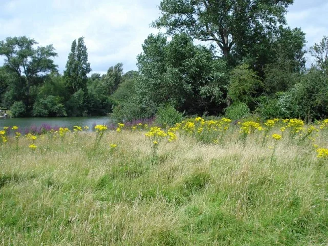 Looking south over the Long Water Sanctuary. Looking south over the Long Water Sanctuary.