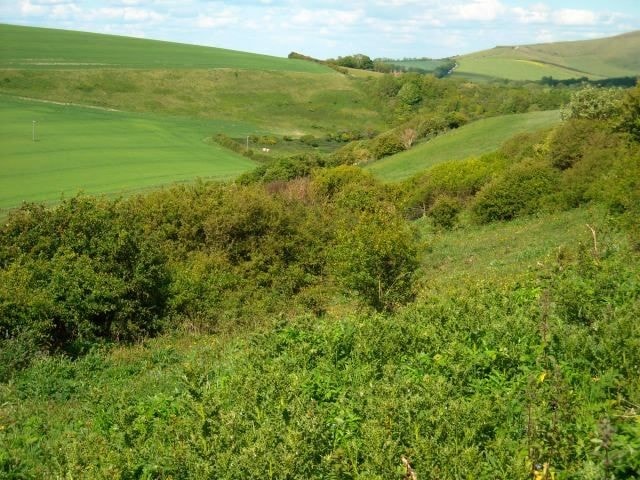 The hawthorn scrub on the steep sides of the beacon is excellent for Green Hairstreaks. The hawthorn scrub on the steep sides of the beacon is excellent for Green Hairstreaks.