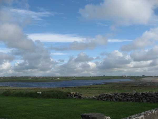 The lough from the north side; water levels were particularly high in 2009 but this site can be excellent for waders if levels are low. The lough from the north side; water levels were particularly high in 2009 but this site can be excellent for waders if levels are low.