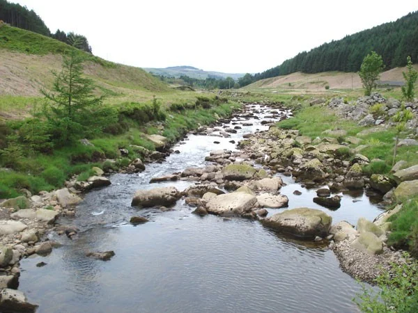 River Dunsop. River Dunsop.