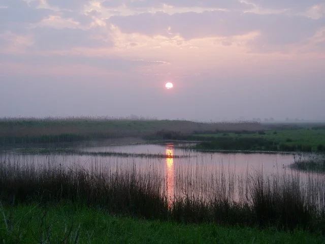 Sunrise near the first screen. Sunrise near the first screen.