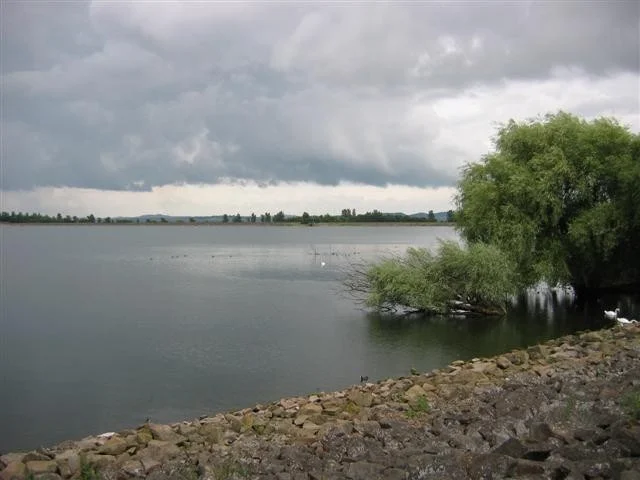 Just before a storm, watching the Black-throated Diver. Just before a storm, watching the Black-throated Diver.