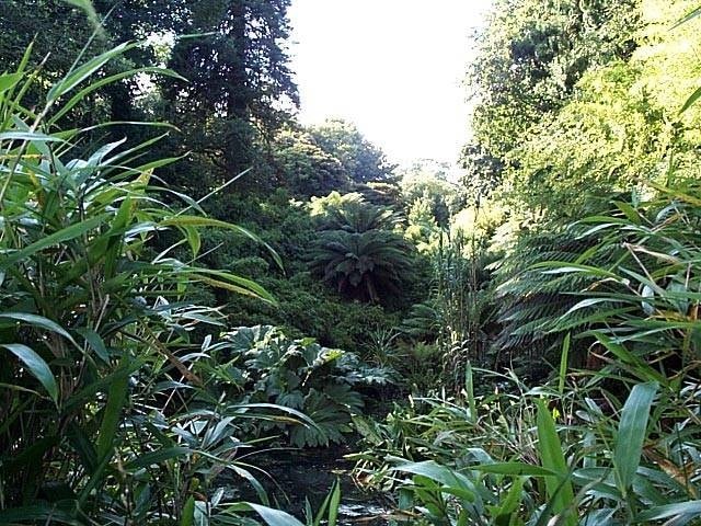 Lush vegetation and lots of visitors. Lush vegetation and lots of visitors.