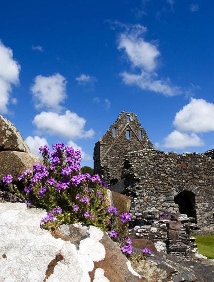 Glenluce Abbey - home to nesting Oystercatcher, Blue Tits, Jackdaws, Crows, Swallows House Martins and many others.
Also a great spot for wild flowers such as Fairy Foxglove. Glenluce Abbey - home to nesting Oystercatcher, Blue Tits, Jackdaws, Crows, Swallows House Martins and many others.
Also a great spot for wild flowers such as Fairy Foxglove.