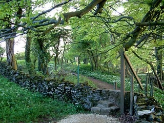 Along the Cotswold Way. Along the Cotswold Way.