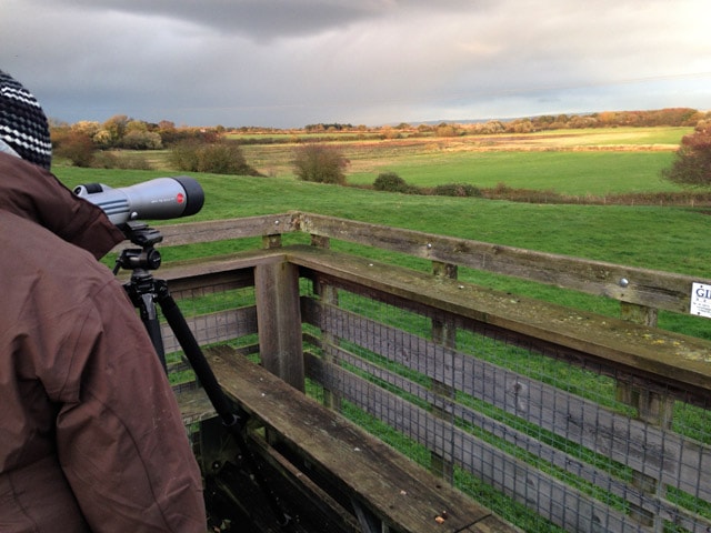 Image supplied by Mark Coates Image supplied by Mark Coates