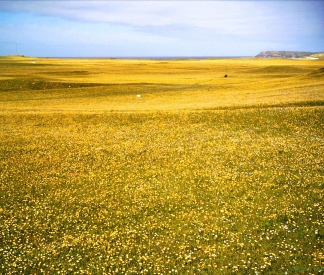 Borgh machair. Borgh machair.
