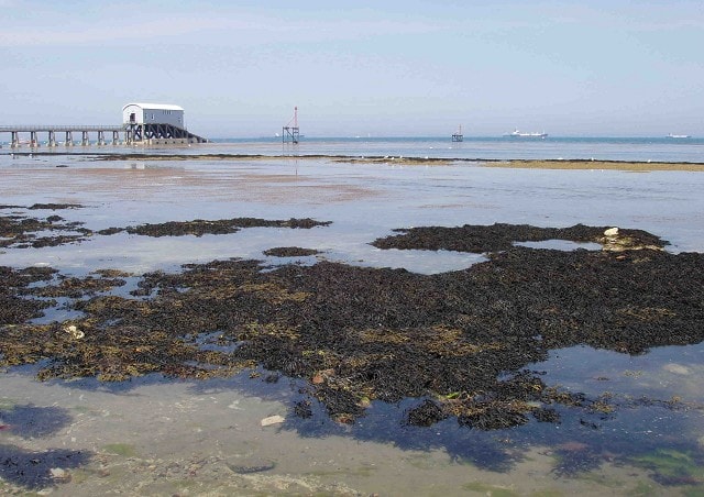 Bembridge Beach and Lifeboat Station near Ethel Point, Foreland Bembridge Beach and Lifeboat Station near Ethel Point, Foreland