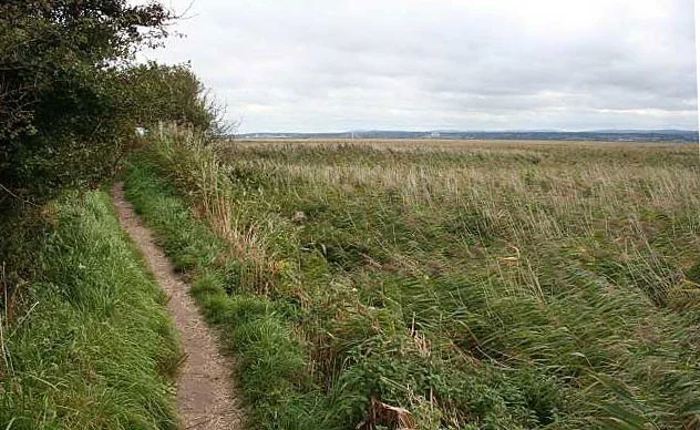 Neston Reedbed. Neston Reedbed.