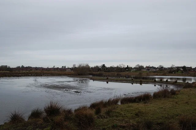 Tillington Scrape. Tillington Scrape.