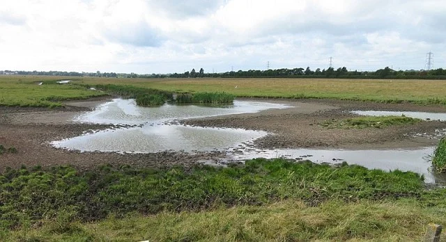 The Entrance Pools at Newton Marsh. The Entrance Pools at Newton Marsh.