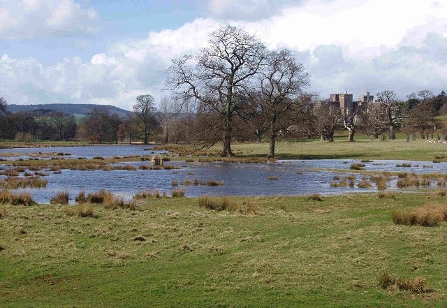 Powderham Park and lake Powderham Park and lake