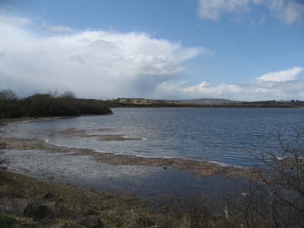 Ballyallia Lake from the car park/picnic site on the eastern side. Ballyallia Lake from the car park/picnic site on the eastern side.