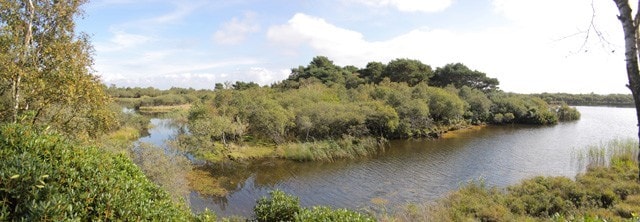 A small part of Little Sea. Be careful though - the naturist beach is across the water! A small part of Little Sea. Be careful though - the naturist beach is across the water!