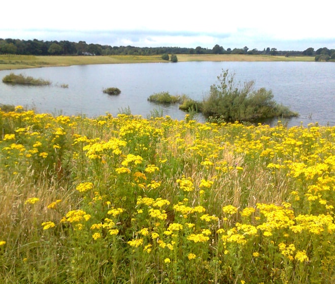 Lapwing Hall Pool. Lapwing Hall Pool.