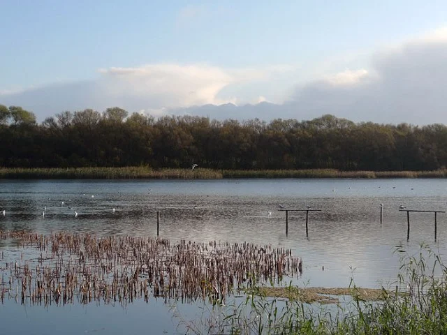 View from the hide. View from the hide.