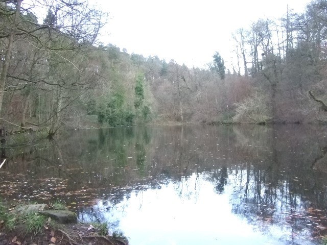 Mixed wood in valley behind castle. Mill pond and stream. Usual woodland species, plus kingfisher/dipper/heron regularly seen. Mixed wood in valley behind castle. Mill pond and stream. Usual woodland species, plus kingfisher/dipper/heron regularly seen.