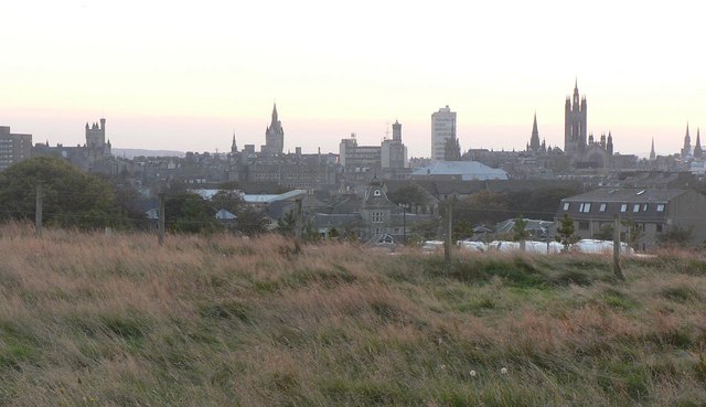 Aberdeen Birdwatching Site - BirdGuides