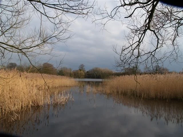 View from hide at Saltmarshe Delph's main pond. View from hide at Saltmarshe Delph's main pond.
