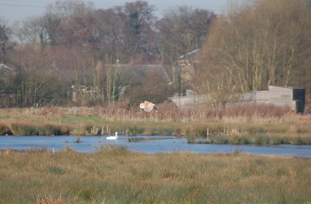 Picture of Cornmill Meadow part of the Lea Valley country park. Picture of Cornmill Meadow part of the Lea Valley country park.