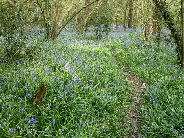 Image supplied by David Howdon Image supplied by David Howdon