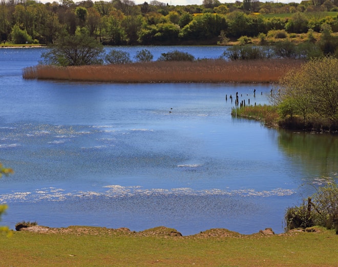 Old gravel pits that has been turned into a country park, many water birds. Old gravel pits that has been turned into a country park, many water birds.