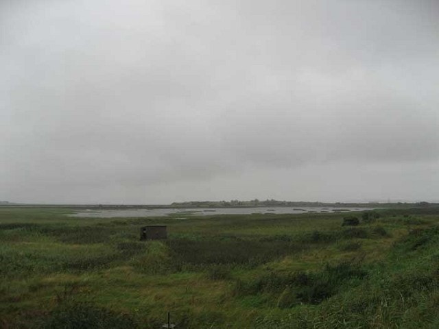 Shannon Airport Lagoon. Shannon Airport Lagoon.