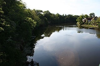 River Coquet from Warkworth Bridge River Coquet from Warkworth Bridge