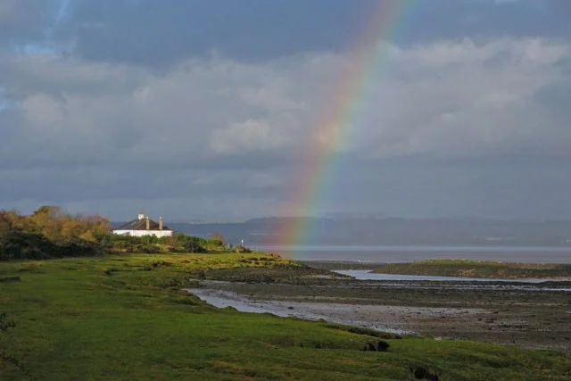 No Long-billed Dowitcher today, but there was this nice rainbow! No Long-billed Dowitcher today, but there was this nice rainbow!