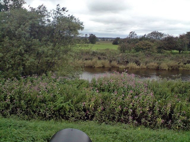 Taken when the Black Stork was present. Taken when the Black Stork was present.