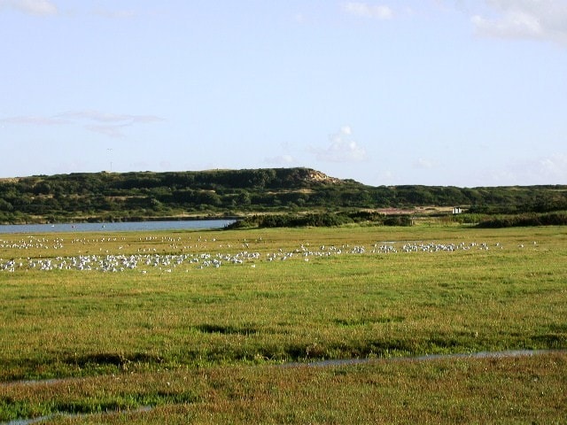 From Stanpit towards Hengistbury From Stanpit towards Hengistbury