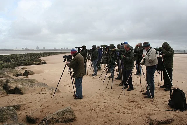 Watching Leach's Petrels from the shelter of Fort Perch. Watching Leach's Petrels from the shelter of Fort Perch.