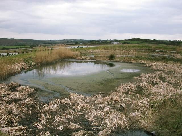 One of the waste-treatment pools at Kilmeaden One of the waste-treatment pools at Kilmeaden