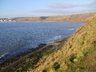 Filey Birdwatching Site - BirdGuides