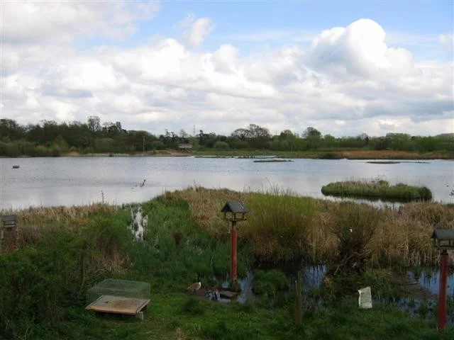 Moors Pool, taken from West Hide. Moors Pool, taken from West Hide.