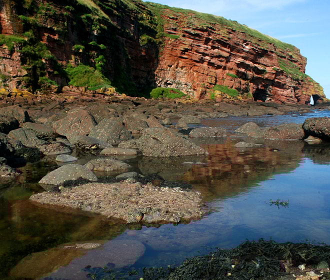 Image supplied by Mark Caunt Image supplied by Mark Caunt