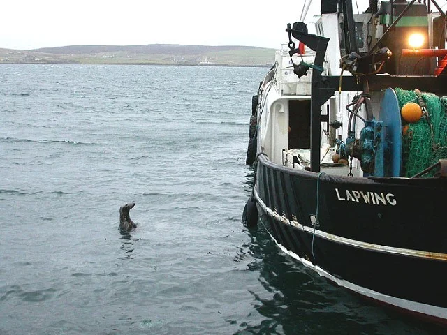 Bressay viewed from Lerwick harbour. Bressay viewed from Lerwick harbour.